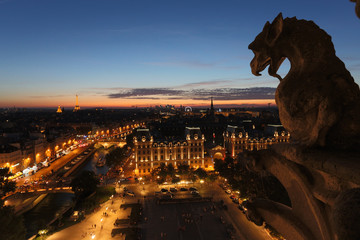 Chimeras of Notre Dame