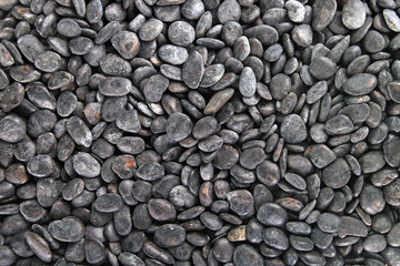 pebble stone as background