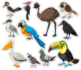 Fototapeta premium Sticker set with many birds