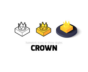 Fototapeta premium Crown icon in different style