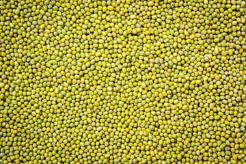 Mung bean seeds.