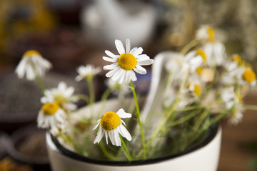 Natural medicine, herbs, mortar on wooden table background