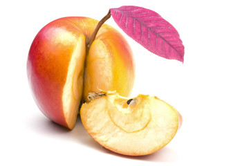 cut piece of juicy ripe red apple