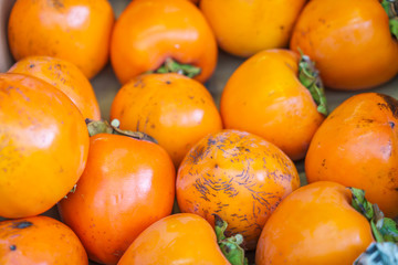 Persimmons fruit