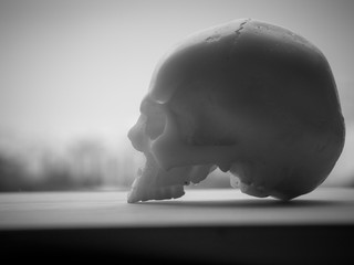 Art skull