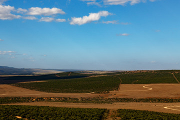 Fototapeta premium Roads to nowere - Addo Landscape