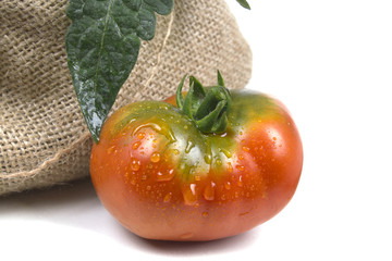 one big tomato with drops near the bag