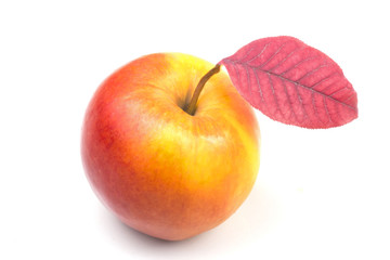 one yellow ripe red apple with autumn leaf