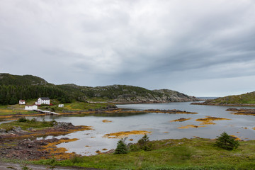 A quiet Newfoundland harbor town