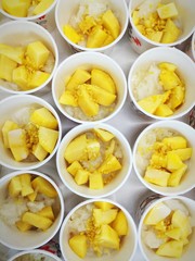 Mango with sticky rice (Thai dessert)