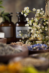 Alternative medicine, dried herbs and mortar on wooden desk back