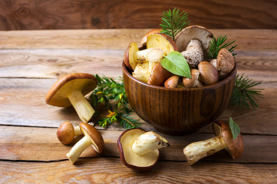 Forest picking mushrooms in wooden bowl