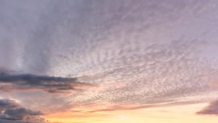 Colored evening sky