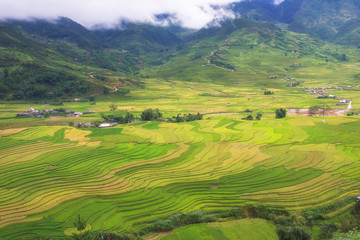 Fototapeta premium A beautiful rice terrace with colorful in the cloudy day