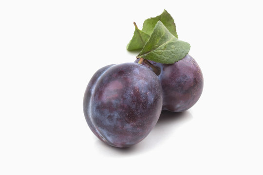 Two large blue round ripe plums with leaves