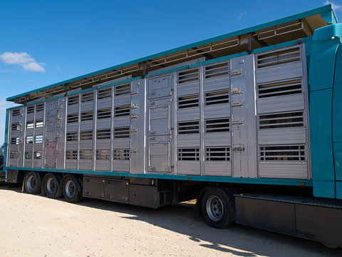 Special truck and trailer for transportation of pigs