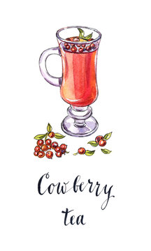 Cowberry tea in a cup with fresh berries