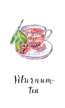 Viburnum tea