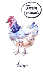 White hen