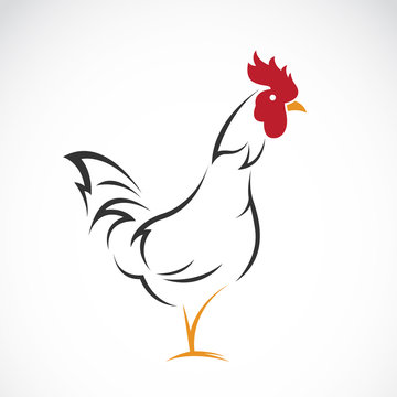 Vector of a cock design on white background.