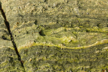 Obraz premium Greens. flaky stone