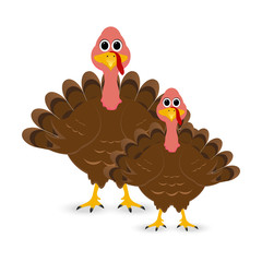 Two turkey mother and child