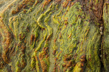 Green stone with color wave