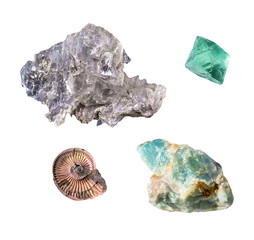 Set of famous isolated calcium minerals - gips, fluorite, apatite and ancient ammonite containing...