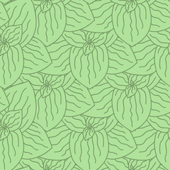 Pattern. Plantain.