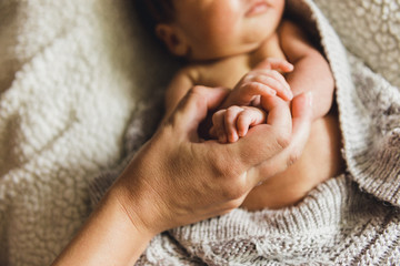 Newborn baby hand holding mother Finger - obrazy, fototapety, plakaty