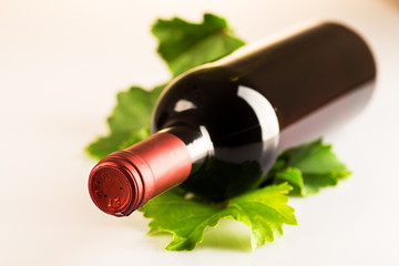 Bottle of red wine with green vine leaves