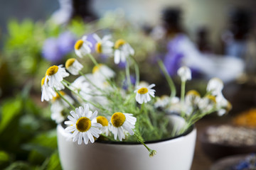 Herbs, berries and flowers with mortar, on wooden table backgrou
