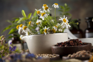Alternative medicine, dried herbs and mortar on wooden desk back