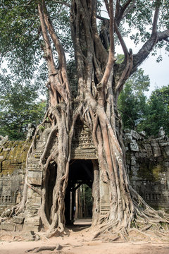 Ta Som (Prasat Ta Saom), part of Khmer Angkor temple complex