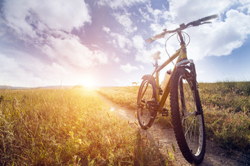 Naklejka premium Silhouette Mountain biking at sunset