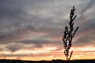 Wenn die Nacht kommt weicht das Licht 
