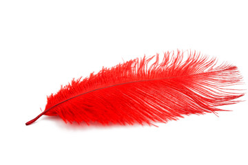 color feather