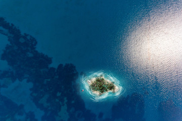 The lost  island