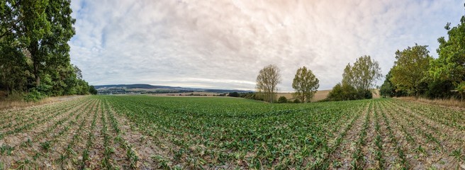 Blick auf Groß Berkel im Weserbergland