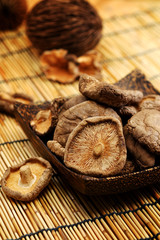Dried Shiitake Mushroom on mat earth tone background