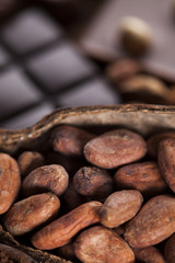 Aromatic cocoa, powder and Dark chocolate background