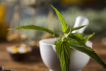 Fresh medicinal, healing herbs on wooden