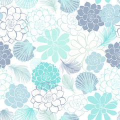 Seamless pattern with  succulents, seashells and feathers  on a white background
