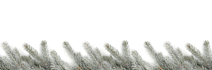 Weihnachtsdekoration Weihnachten Dekoration Tanne Tannenzweige S