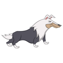 Dog - collie Cartoon