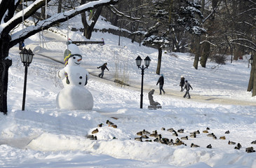 Snowman and driving of children in the park