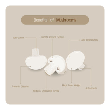 Infographic for mushroom benefits with handwriting font style
