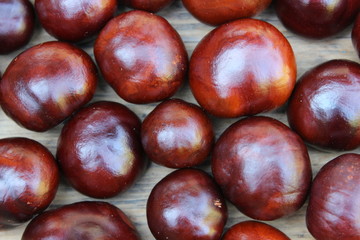Background of chestnuts