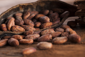 Cocoa pod and cocoa beans on the wooden table