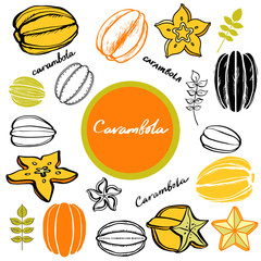 Carambola, star fruit, leafs, flower